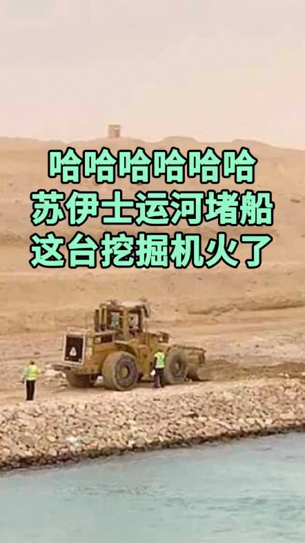 每日發(fā)帖