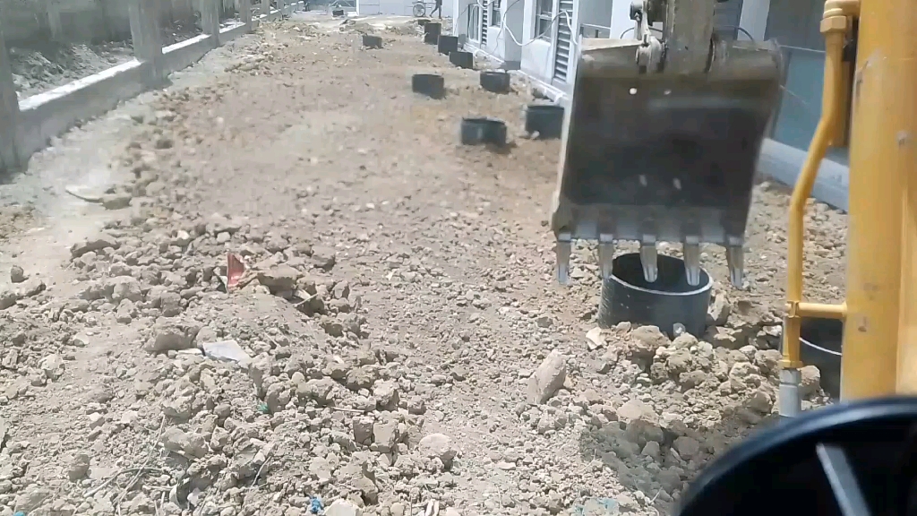 小区绿化