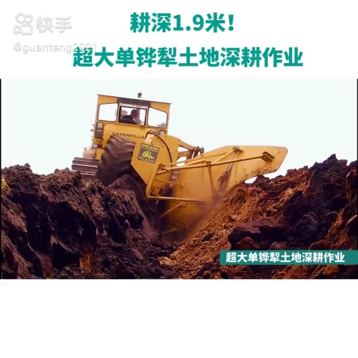 每日发帖