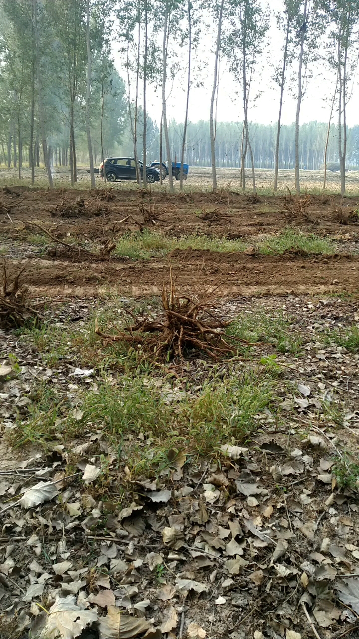 三一重機(jī) 前挖后推