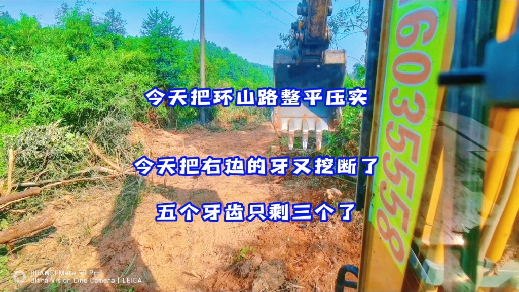 五个牙来的，就剩三个牙回去了。这个树桩太难搞了。
