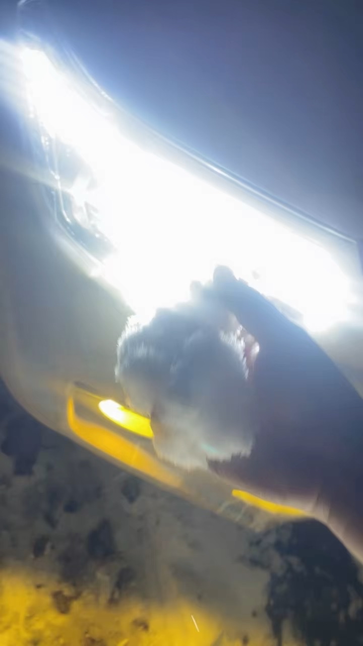 跑了一夜看雪西安