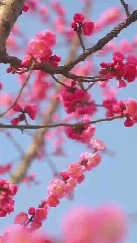 早