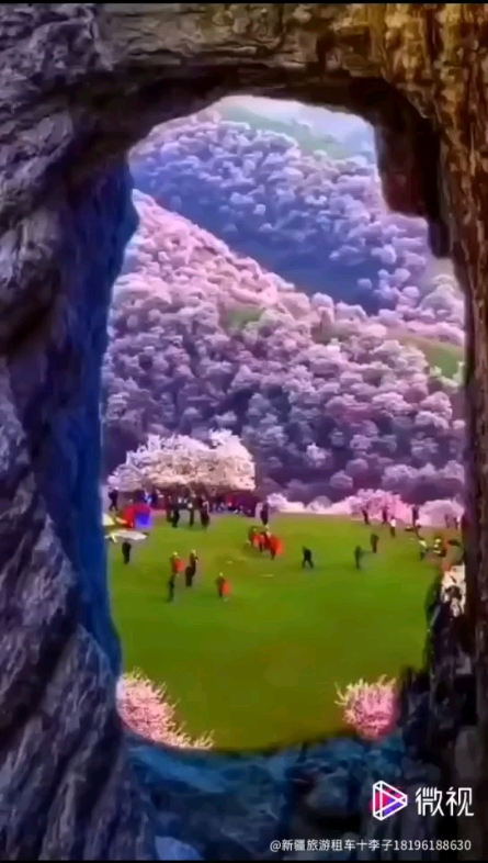 春暖花開