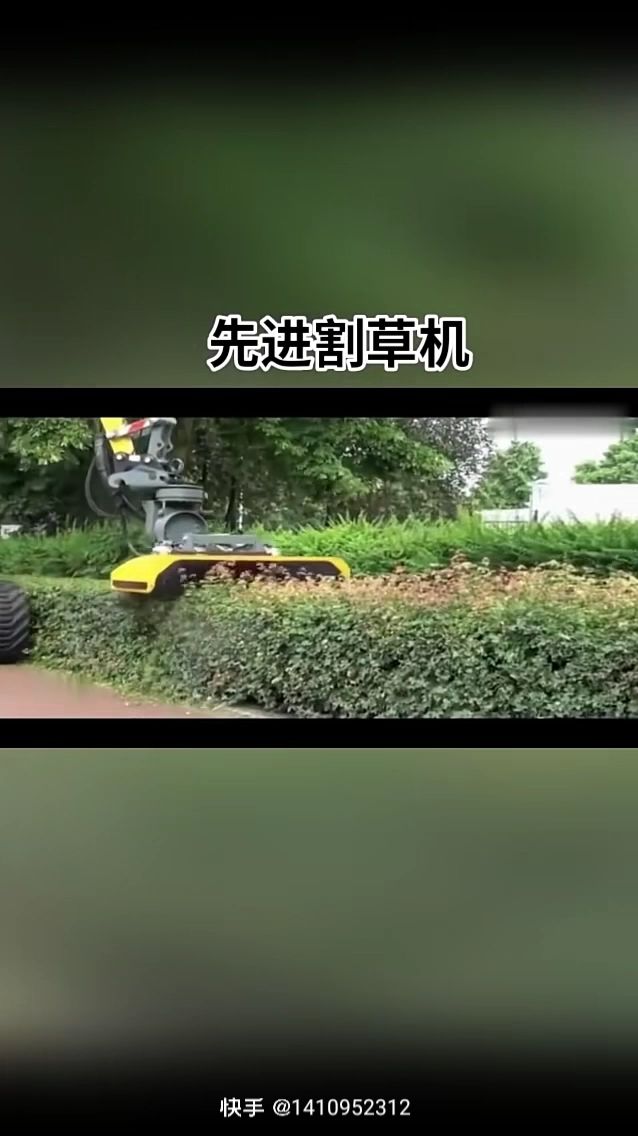 每日一帖