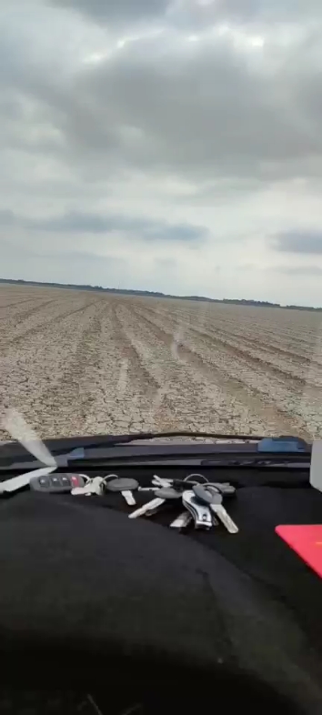 鄱阳湖干的都可以走车了！