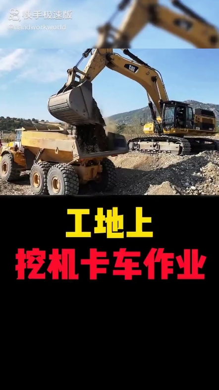 每日发帖