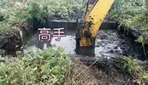 我就是想知道结果