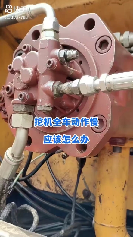 每日發(fā)帖