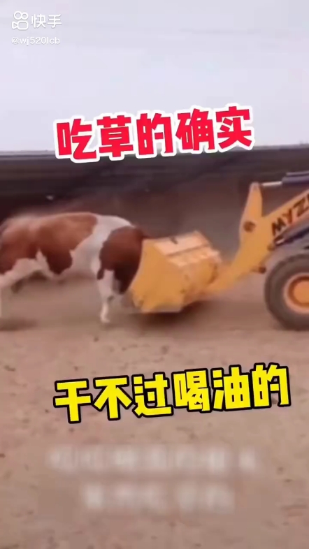 每日發(fā)帖