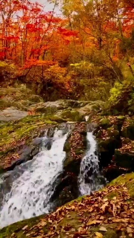 悠闲自在