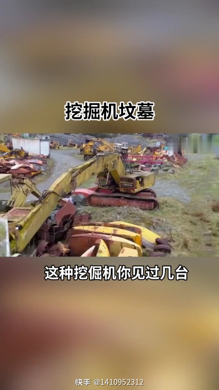 每日一帖
