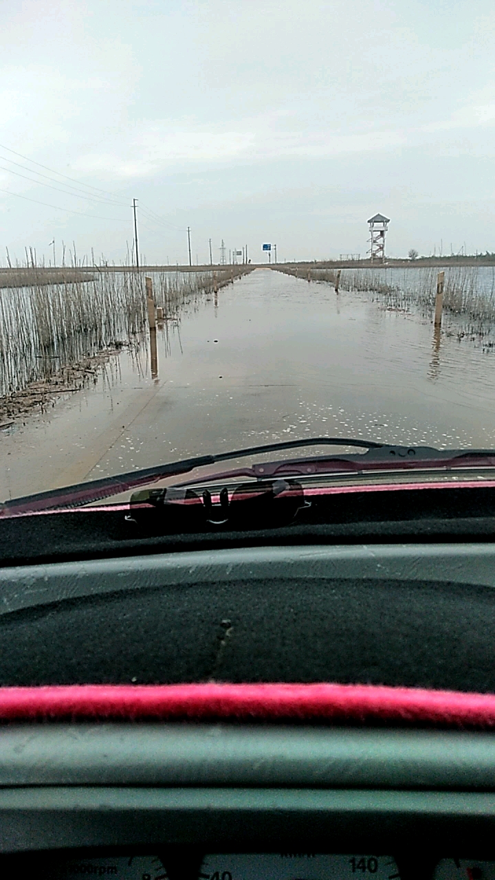 鄱阳湖湿地水上公路