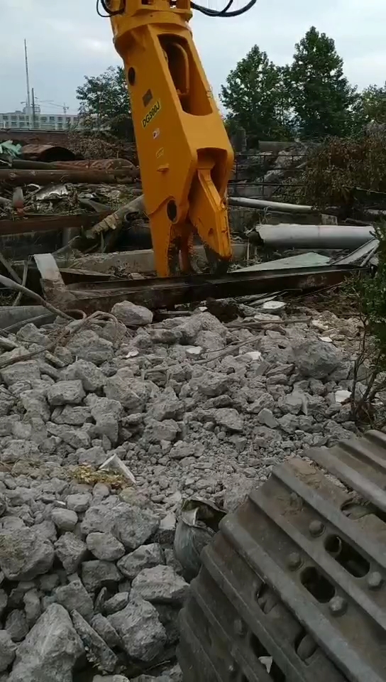 鹰嘴剪