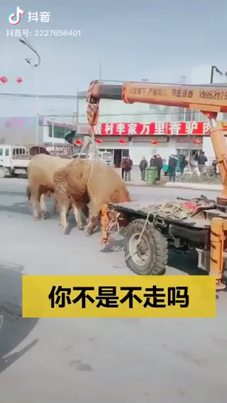 你不是不走么？我用绝招制服你！