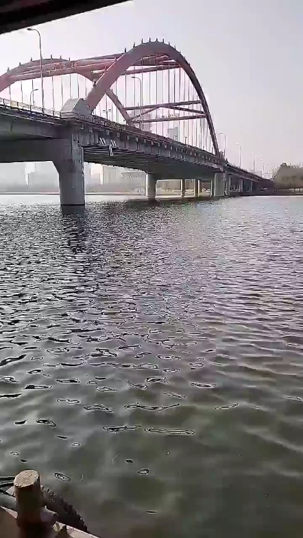 扬帆起航