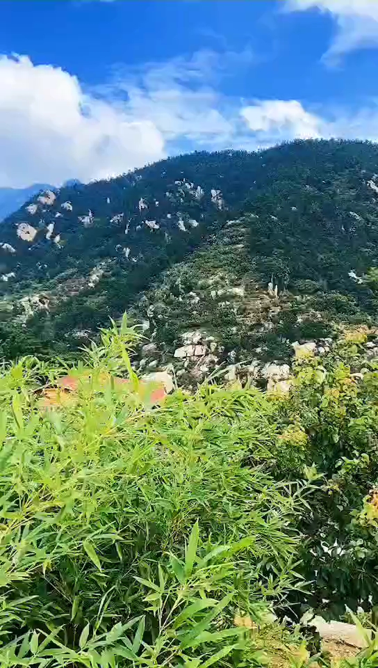 雨后山野