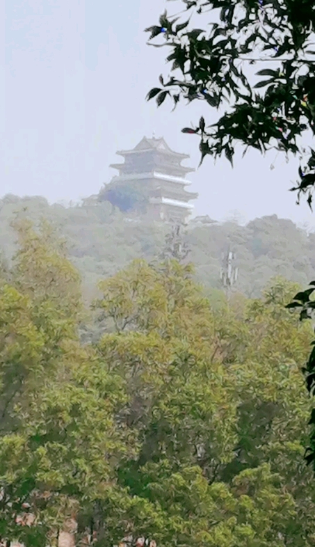 早上好