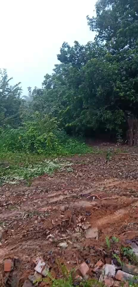 下雨了剛好下班了[表情]