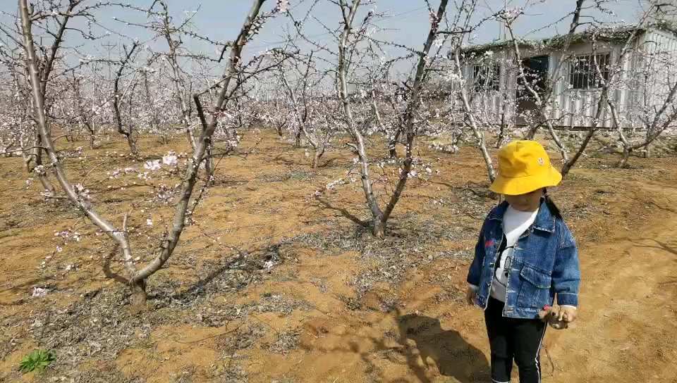小寶貝