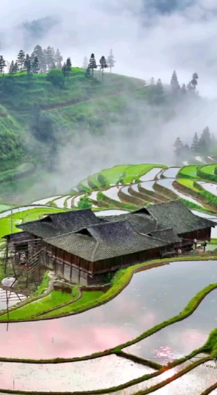 美麗鄉(xiāng)村