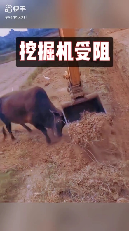 每日發(fā)帖