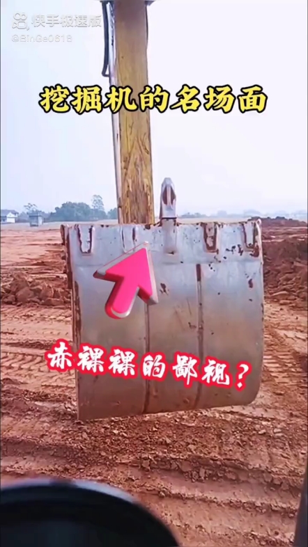 每日發(fā)帖