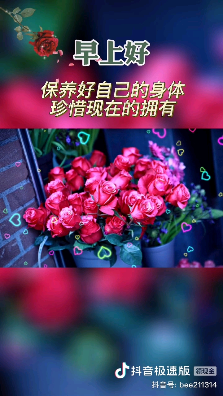 早上好