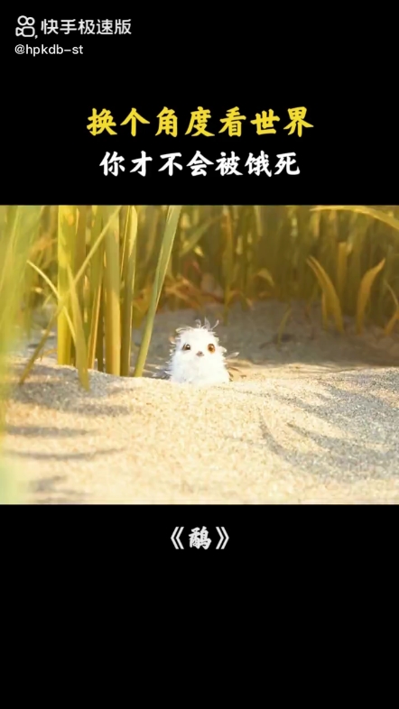 每日發(fā)帖