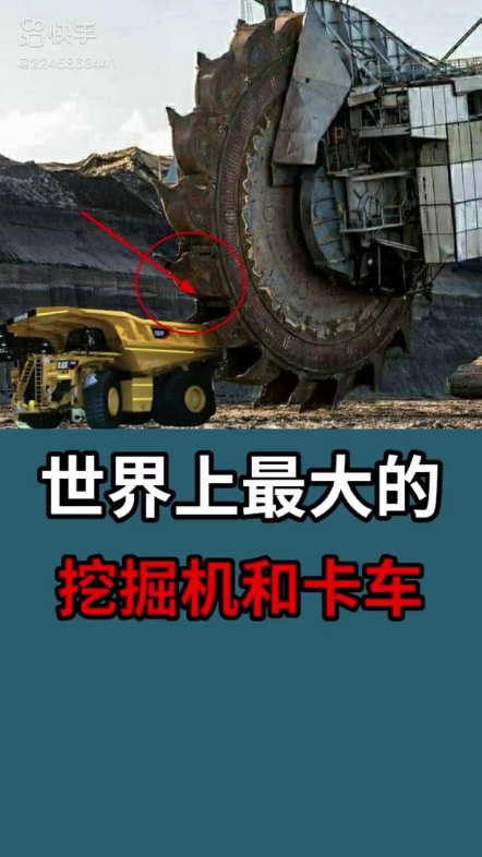 每日發(fā)帖