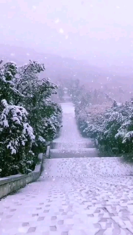 下雪了