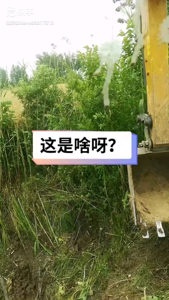 我打算戒煙