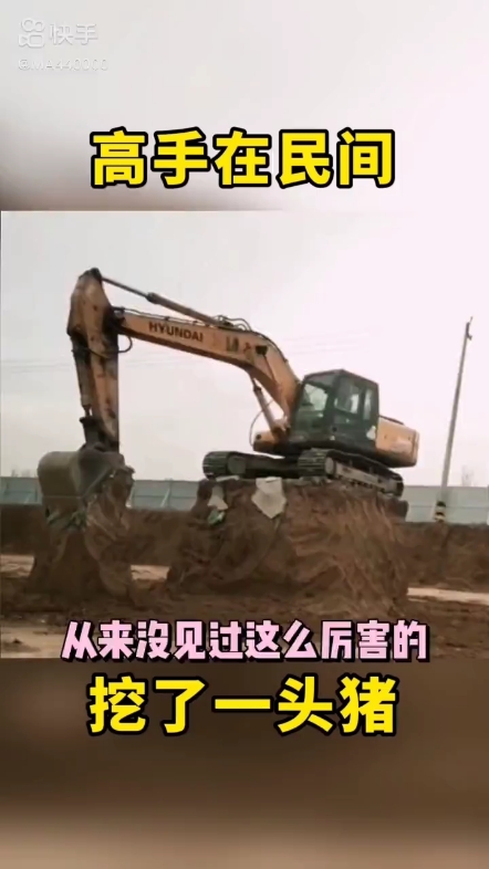每日發(fā)帖