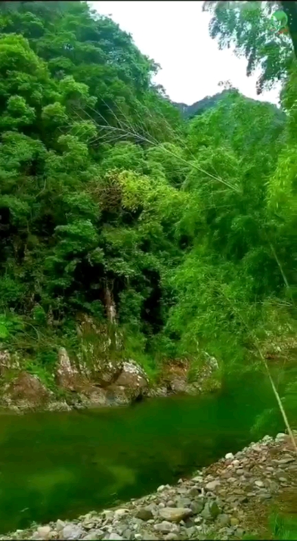 美在中華