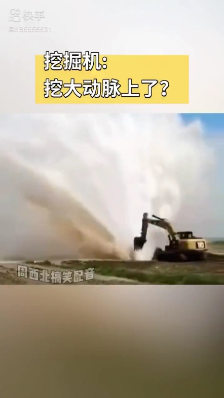 每日发帖