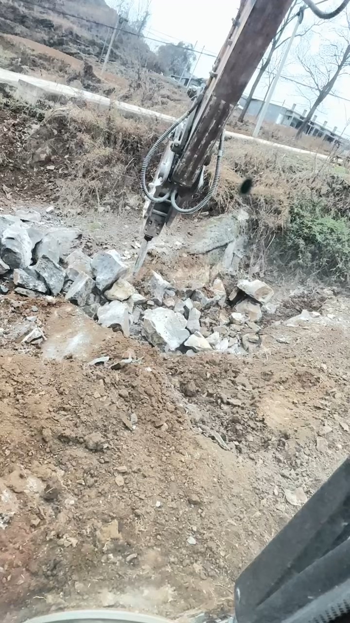 发布了一条动态