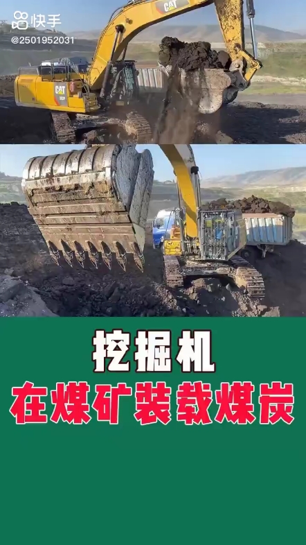 每日发帖