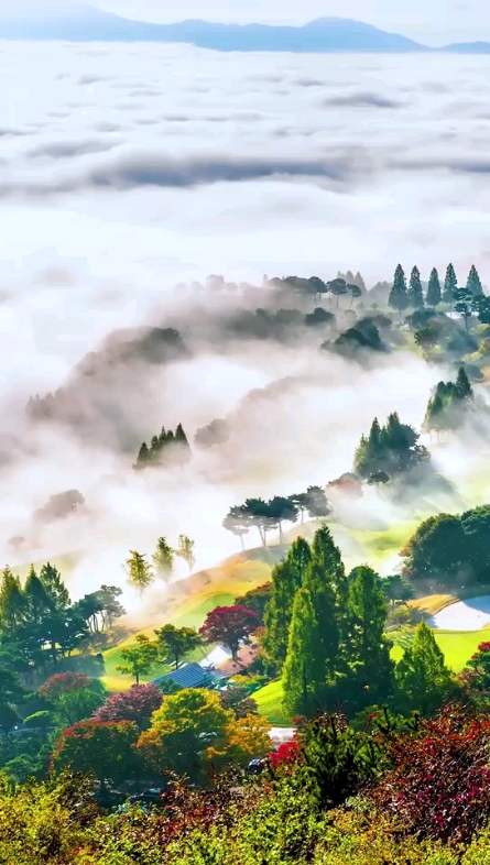 在那搖遠(yuǎn)的地方