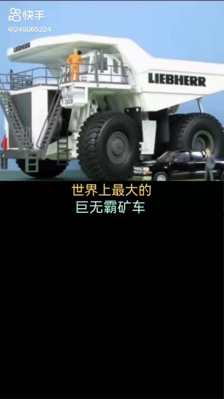 每日发帖