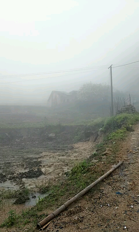 下大雨，賣(mài)力干