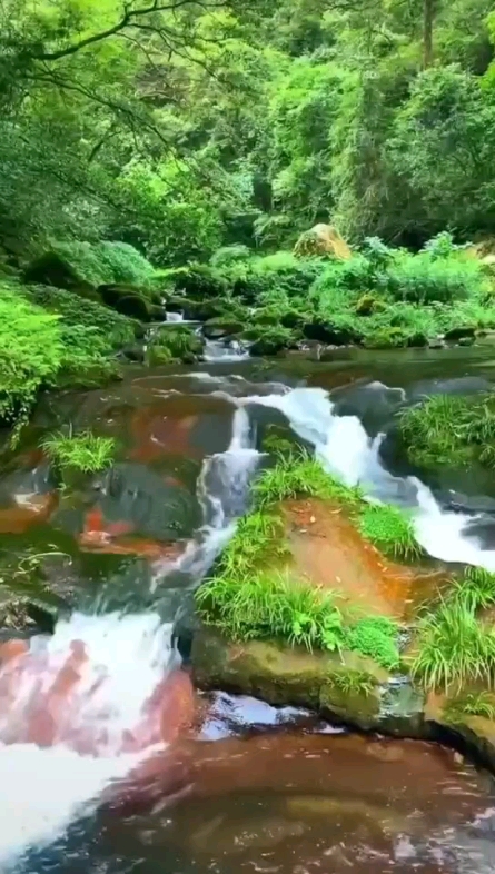 生態(tài)美