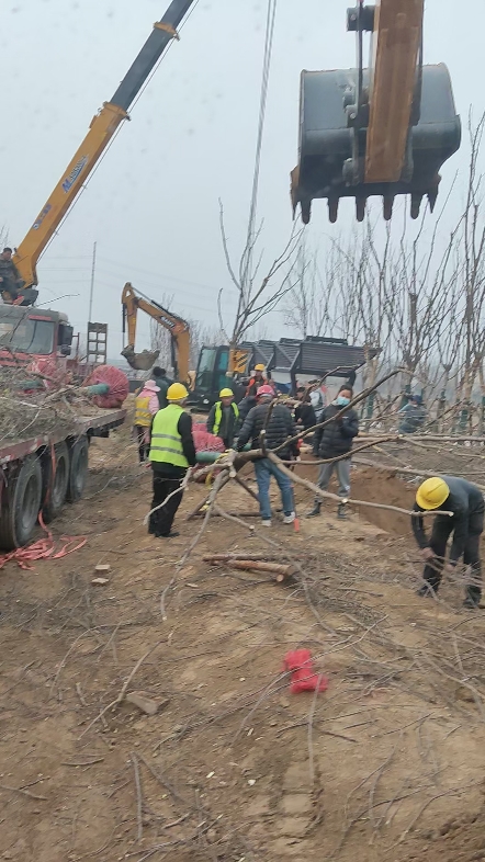 你们哪里柴油什么价格