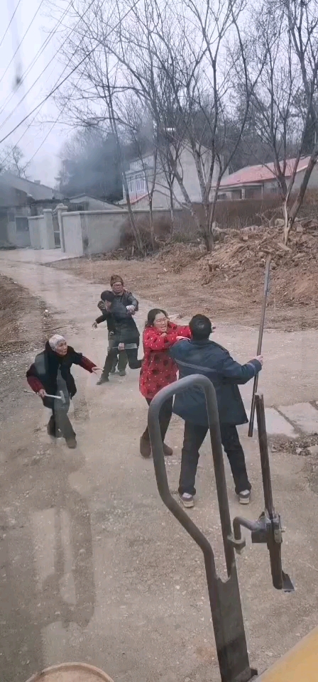 砍呀，咋不砍呢，快砍