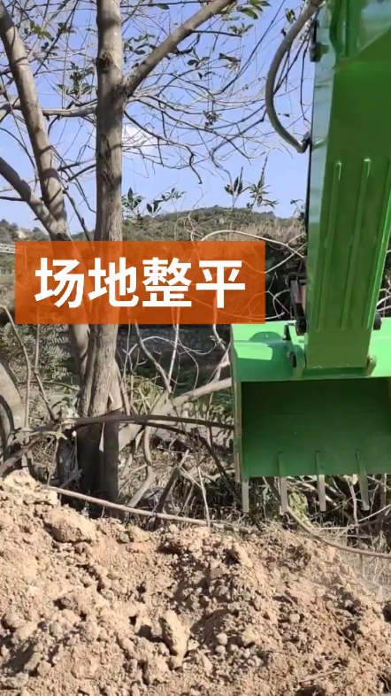 每日一帖