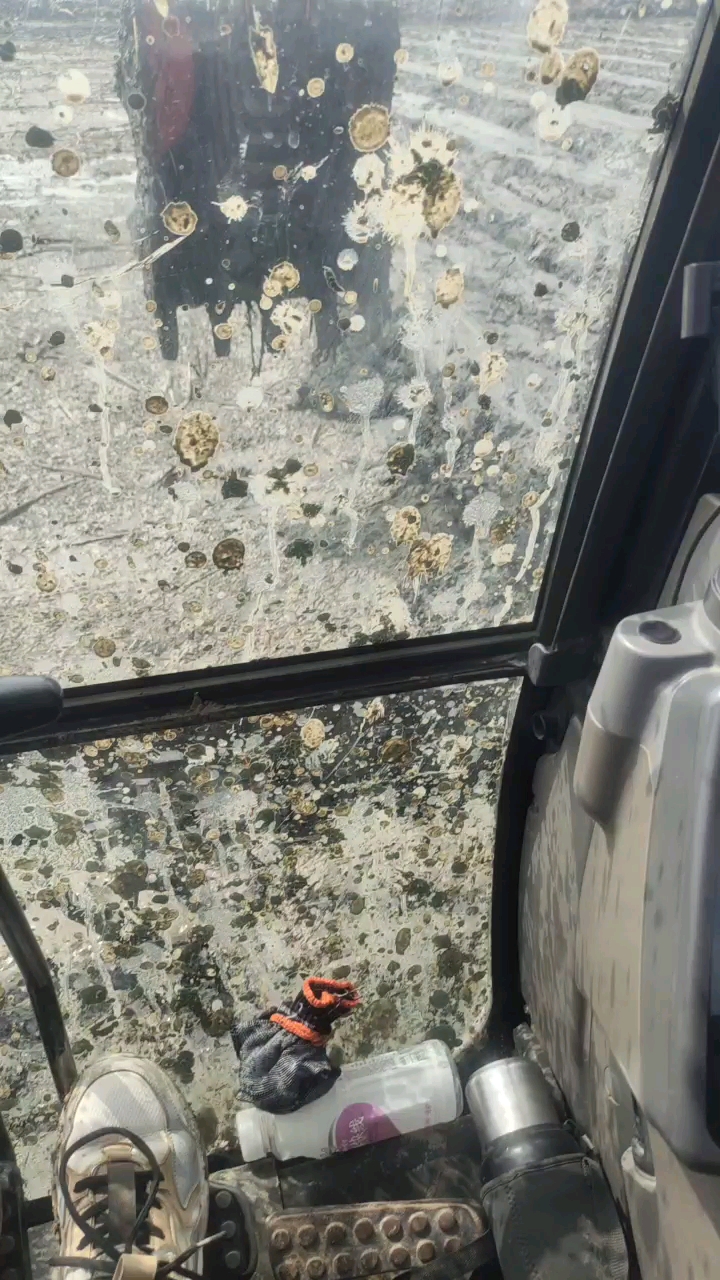 桀骜不驯