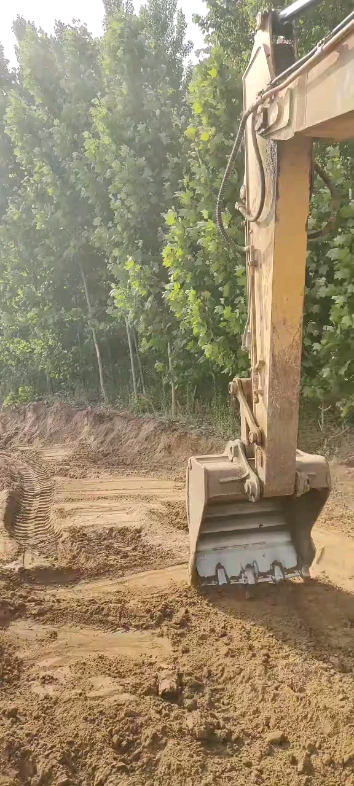 林間小道