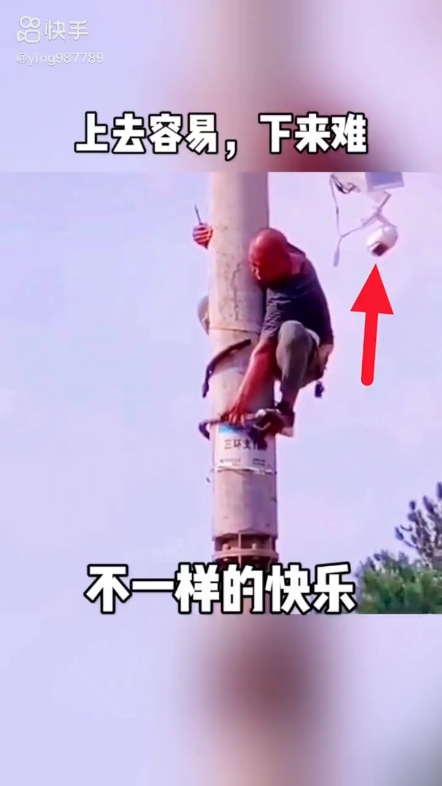 每日發(fā)帖