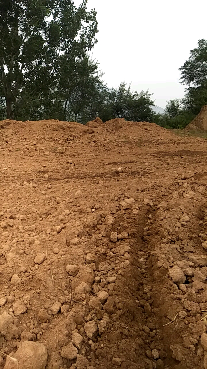 挖机学徒(第三十九天