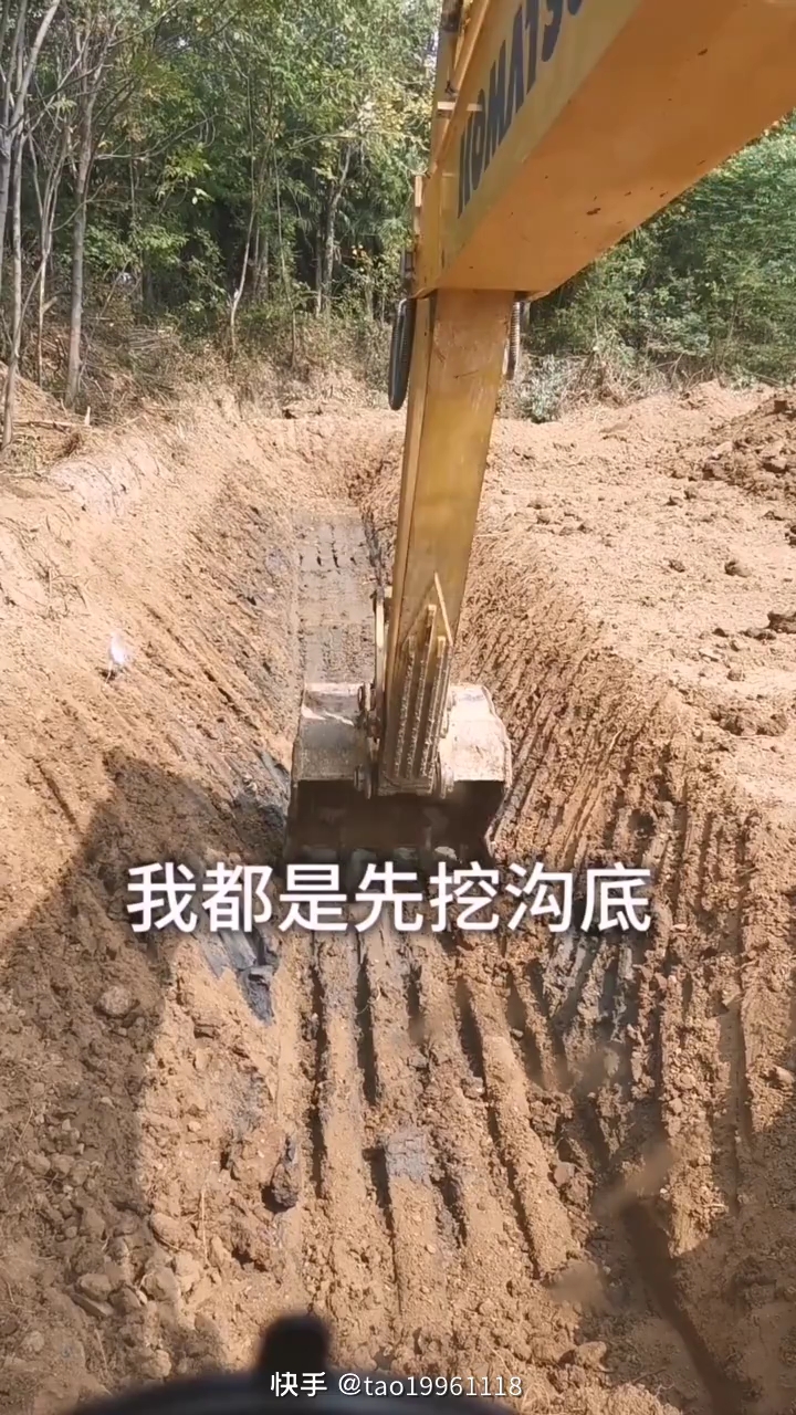 每日一帖