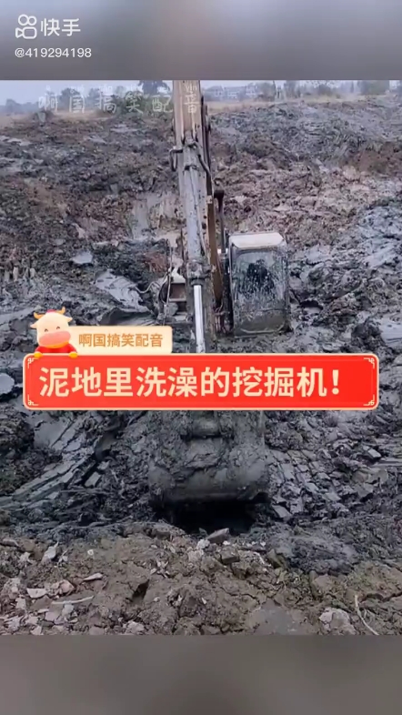 每日發(fā)帖